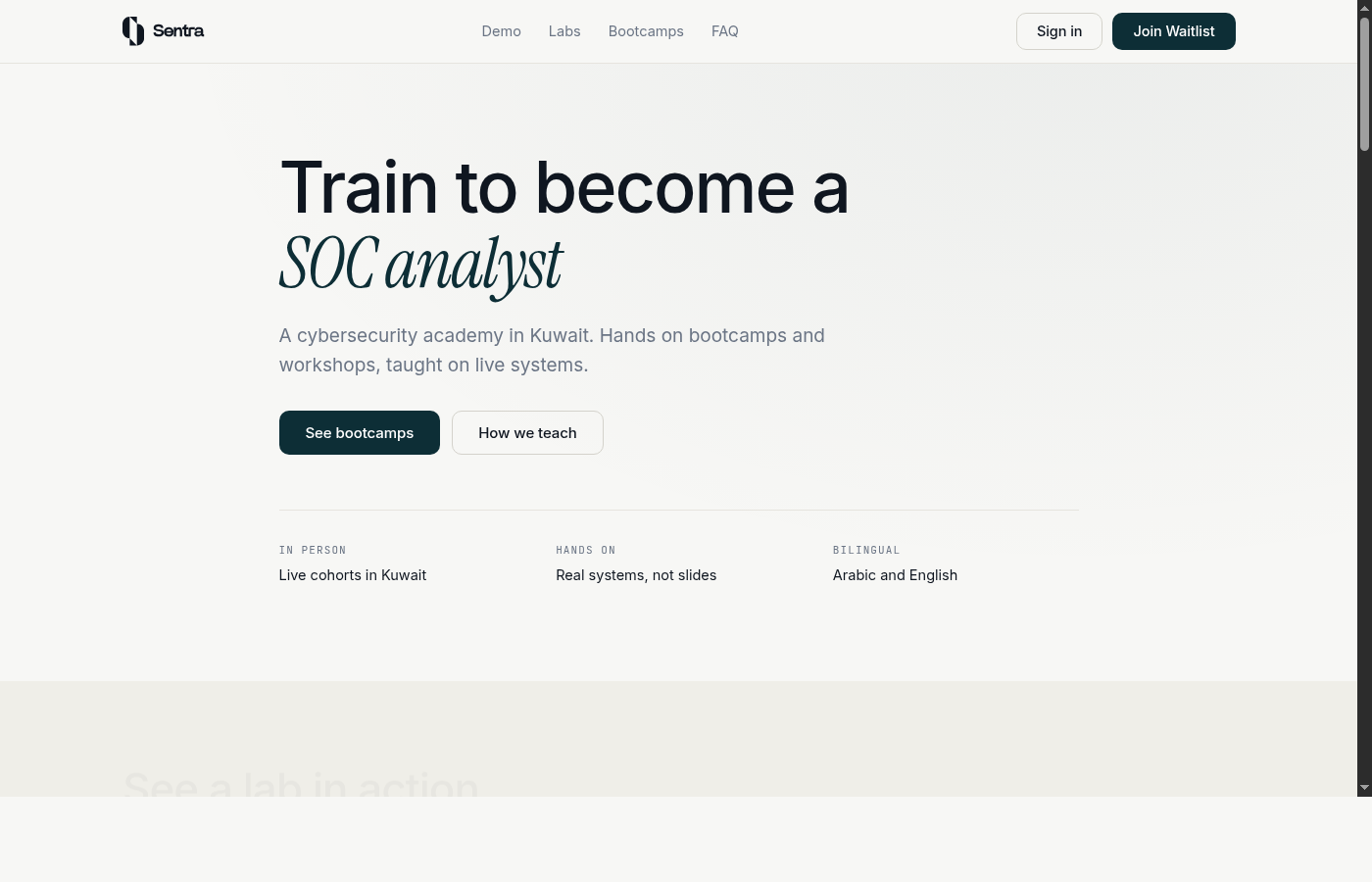 Sentra Academy website preview